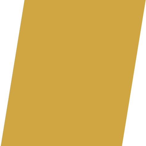 Leopard Shield